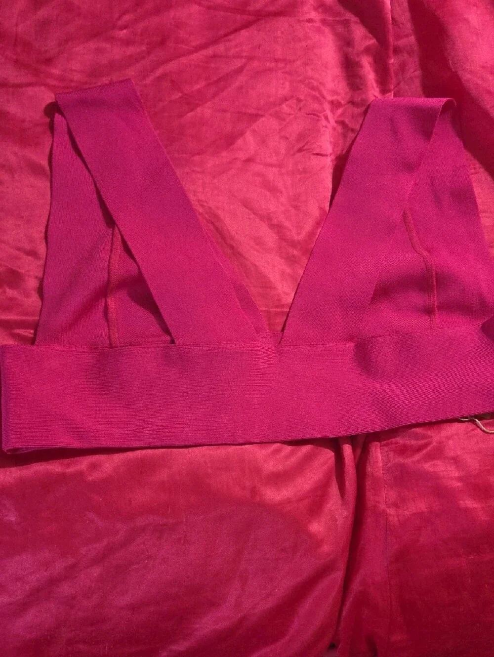 Women’s Deep Plunge SKIMS Bikini Top in Fuchsia